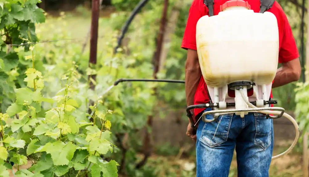 curso de uso de plaguicidas agricolas